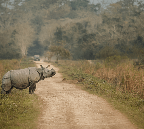 Treasures of North East