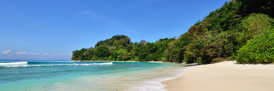 best travel agency for andaman tour